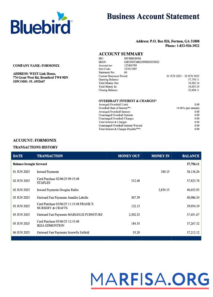 Printable USA Bluebird firm account statement Word and PDF template